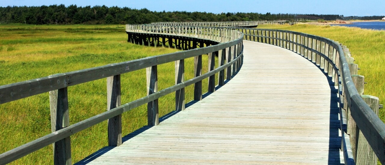 Marsh Boardwalk